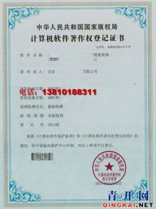 計算機軟件著作權登記代辦與企業管理咨詢 賦能企業創新發展的雙翼