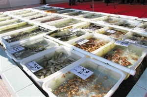 南澳海鮮餐廳推新模式 取消加工費，強化銷售品質承諾